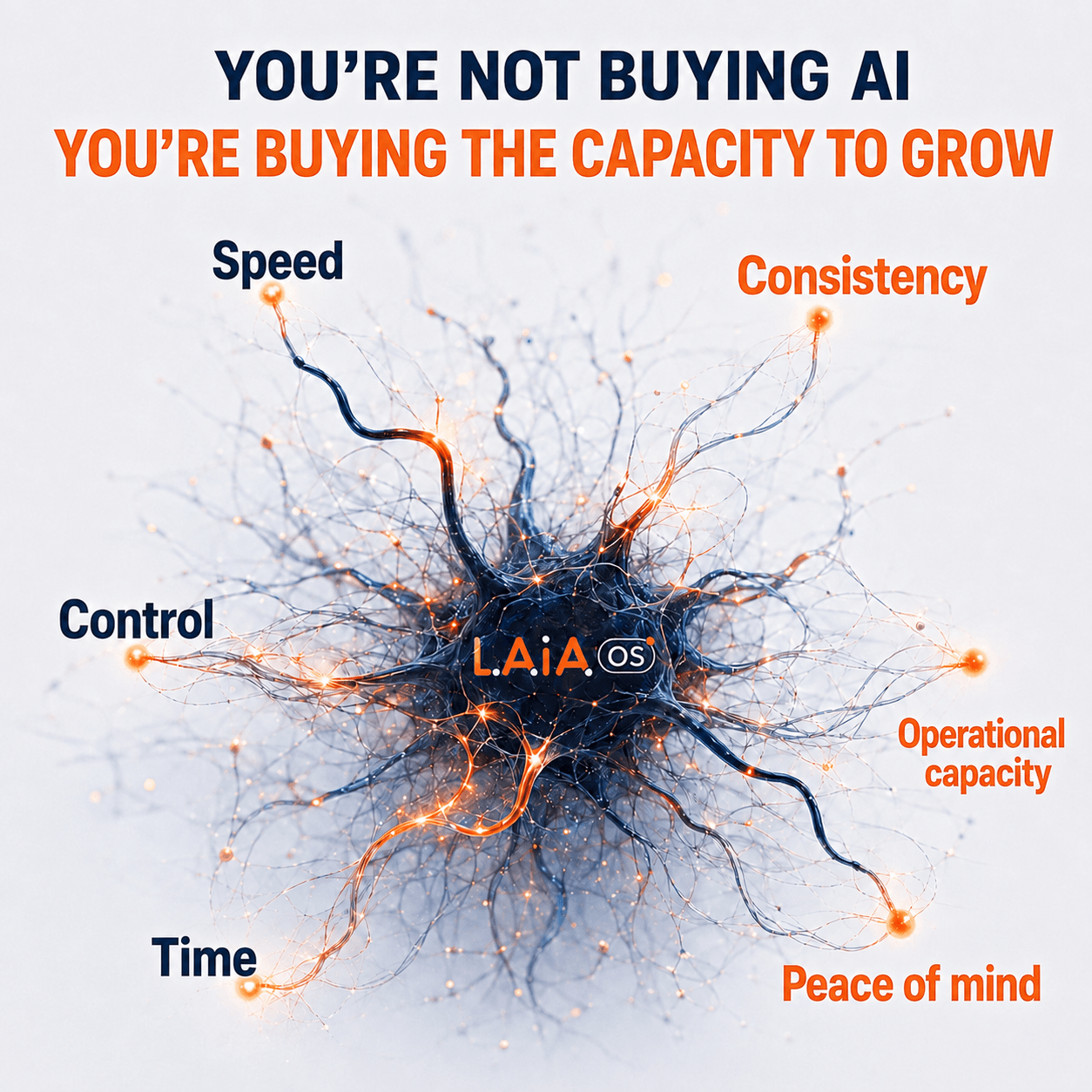 Visual about buying the capacity to grow with LAIA OS